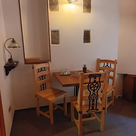 Pensionat Stara Plynarna 4*
